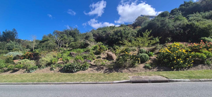 0 Bedroom Property for Sale in Green Pastures Western Cape